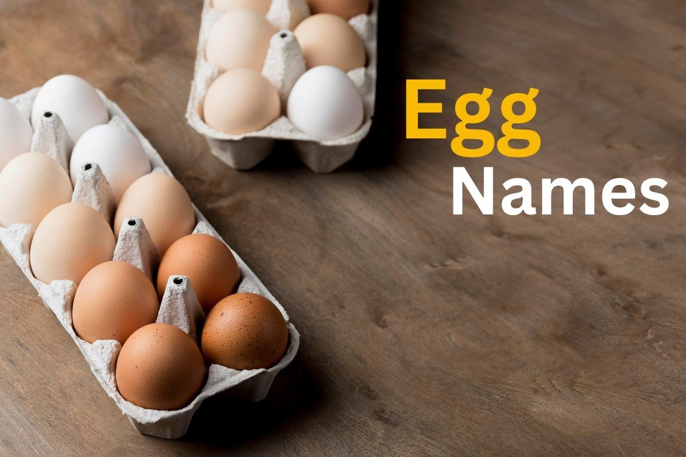 Egg Names