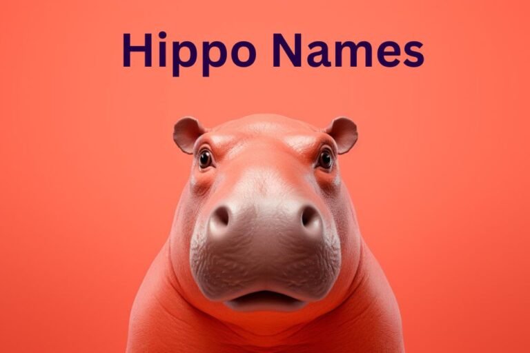 Hippo Names